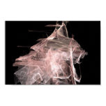 Dancer
