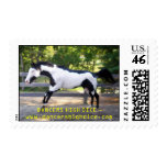 DANCER-SEPT-21, DANCERS HIGH DICE - www.dancers... Stamps