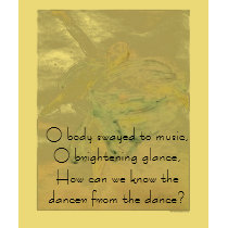 "Dancer With Veils" t-shirts