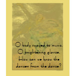 "Dancer With Veils" t-shirts