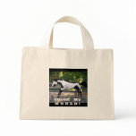 DANCERPAINTEDPIC, ITS a Paint World !, COLOR   ... Bag