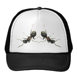 Dancing Ants Trucker Hat