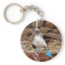 Dancing Booby, Isla Seymour, Galapagos Key Chain