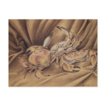 Dancing Crabs (Postcard)