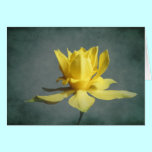 Dancing Daffodil Note Cards cards