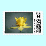 Dancing Daffodil Postage Stamps stamps