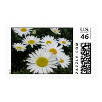 Dancing Daisies Postage Stamp by mulberry1 Dancing Daisies Postage Stamp