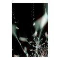 Dancing Diamonds posters