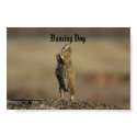 dancing dog posters by claireeades dancing dog posters