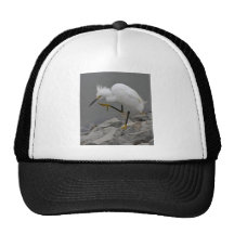 Dancing Egret Trucker Hats