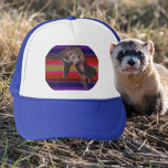 Dancing Ferret hats