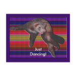 Dancing Ferret postcard