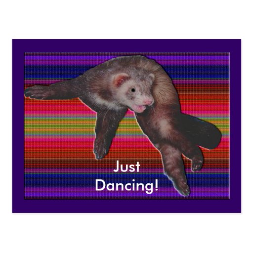 Dancing Ferret Postcard Zazzle