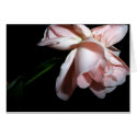 Dancing Flower cards by RLMdesignes Dancing Flower cards