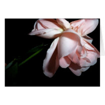 Dancing Flower cards
