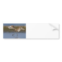 Dancing for Food Bumper Sticker