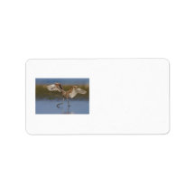Dancing for Food Personalized Address Label