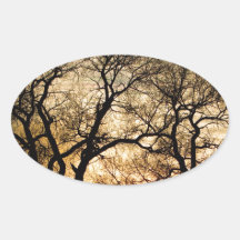 Dancing Forest Trees In The Golden Light Oval Sticker