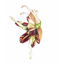 Dança na luz camisetas