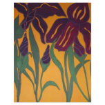 Dancing Iris Flyer