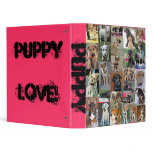 Dancing-Kittens-807, mika-the-american-eskimo_4... 3 Ring Binders