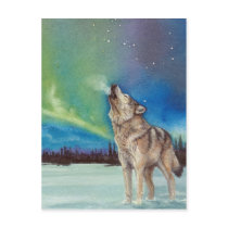Dancing Lights howling wolf postcard