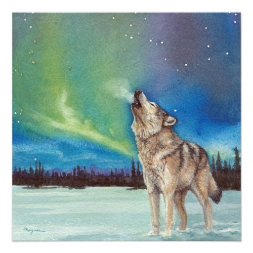 Dancing Lights howling wolf square card Personalized Invitations