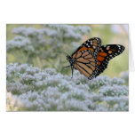 Dancing on Flowers Greeting Cards