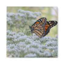 Dancing on flowers magnets by toots1 Dancing on flowers magnets