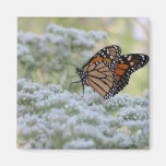 Dancing on flowers refrigerator magnet