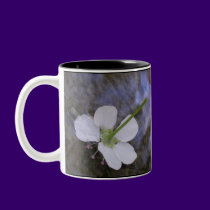 Dancing on Water mugs