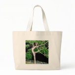 Dancing Tree bags