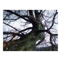 Dancing Tree Poster posters by threesalamanders Dancing Tree Poster posters