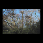 Dancing Trees of the Wild Wood canvas prints