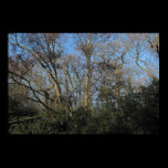 Dancing Trees of the Wild Wood posters