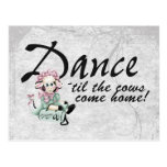 Dancing with Cows Postcard
