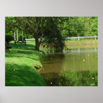 Dancing with Fireflies Poster posters