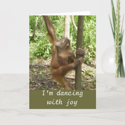 dancing orangutan