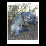 Dancing With Snake postcards