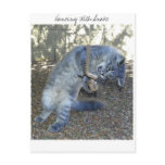 Dancing With Snake Post Card