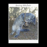 Dancing With Snake postcards
