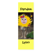 Dandee Lyon, Bookmark business cards by SeaAngel Dandee Lyon, Bookmark business cards