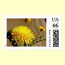 Dandelion 1 postage