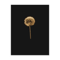 dandelion 1 postcards by ceeveem dandelion 1 postcards