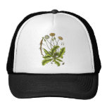 Dandelion Botanical Illustration Trucker Hats