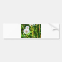 Dandelion Bumper Sticker