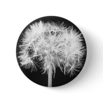 Dandelion Button