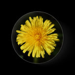 Dandelion buttons