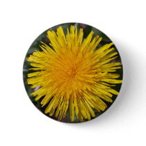 Dandelion button pin buttons