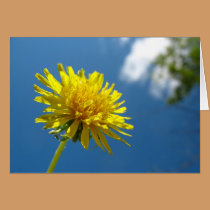Dandelion Card by litabug Dandelion Card